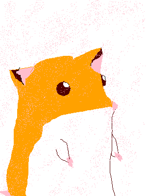 ����������i